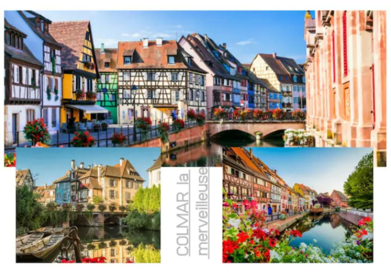 Thann Colmar - 1 Chambre - 5 Pers - Parking Buitenkant foto